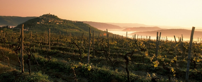 Self-Guided Multi-Day Tour Through Istrian Wine Roads
