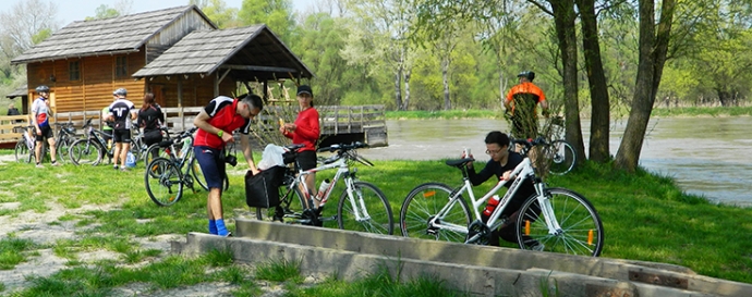 Cycling Spring on the Međimurje Sea